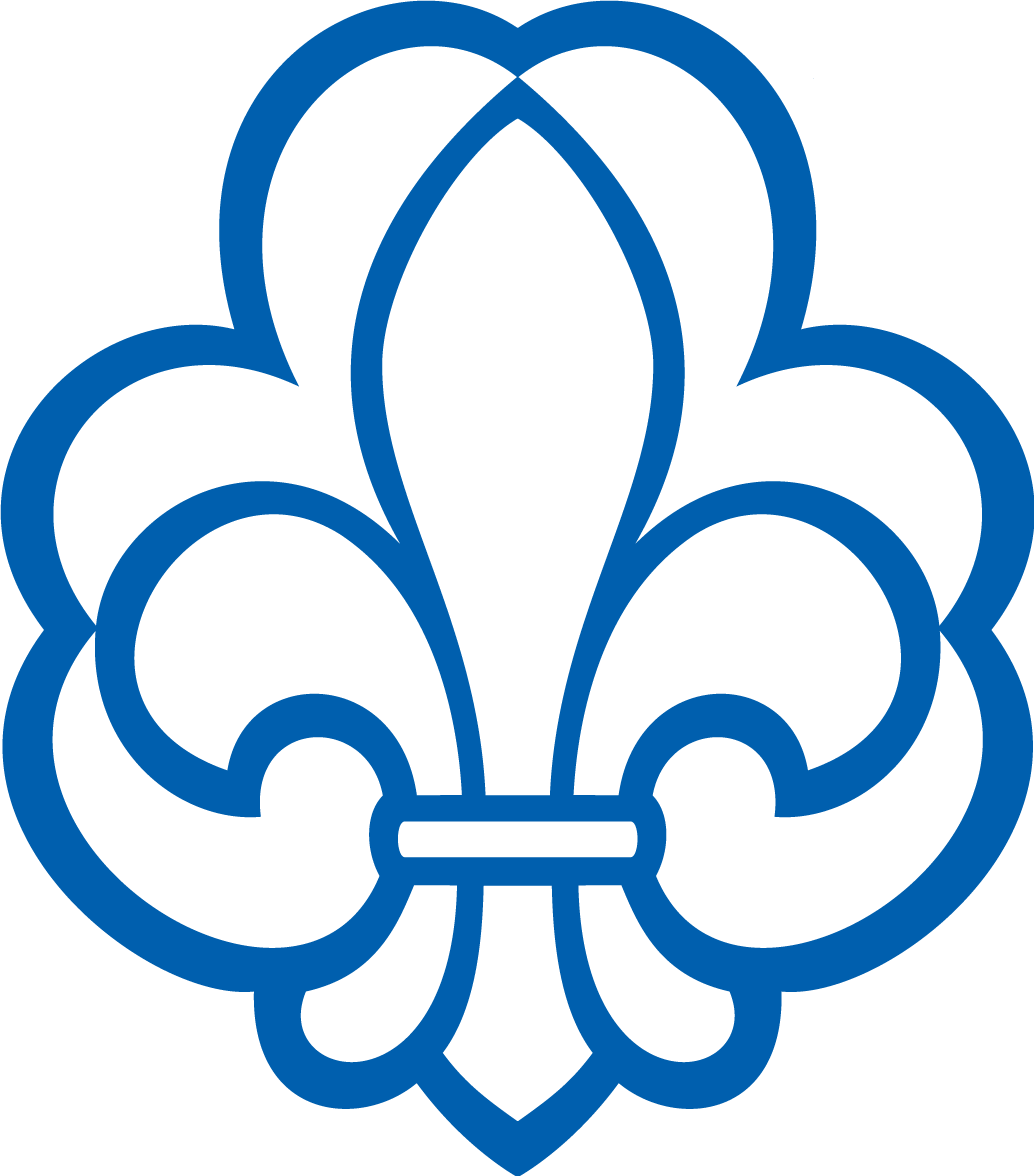 Det danske spejderkorps